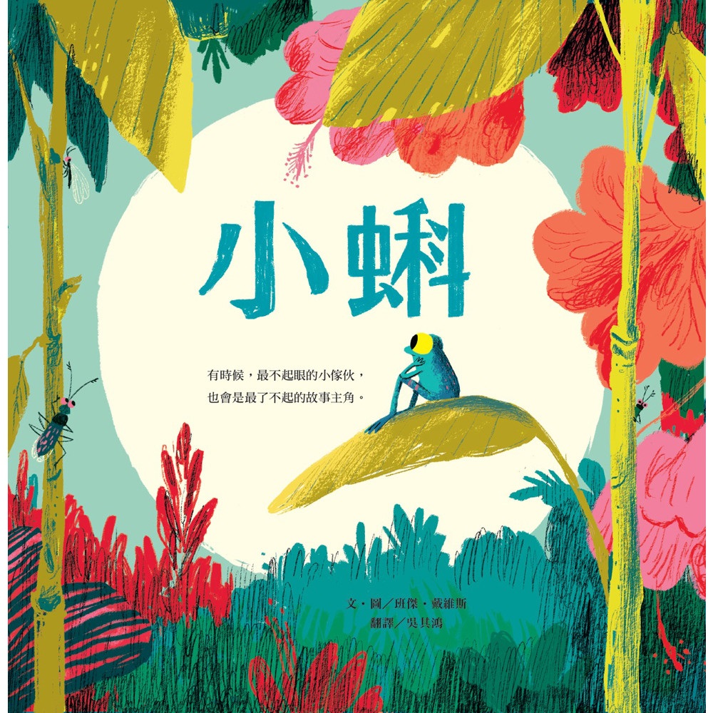 小蝌 圖片