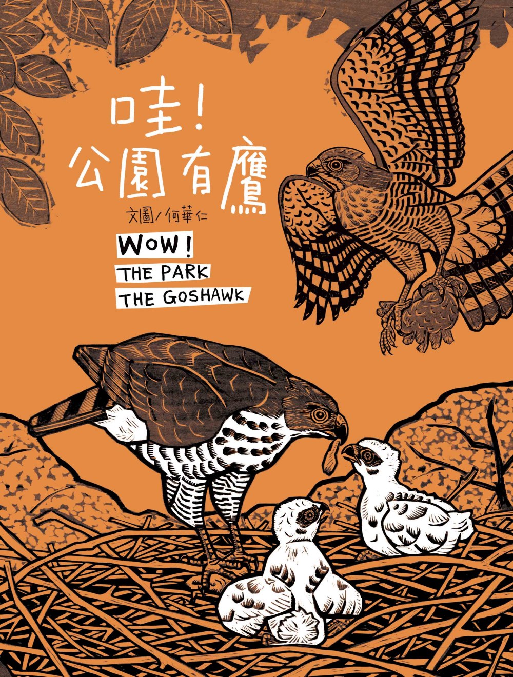 哇！公園有鷹 圖片
