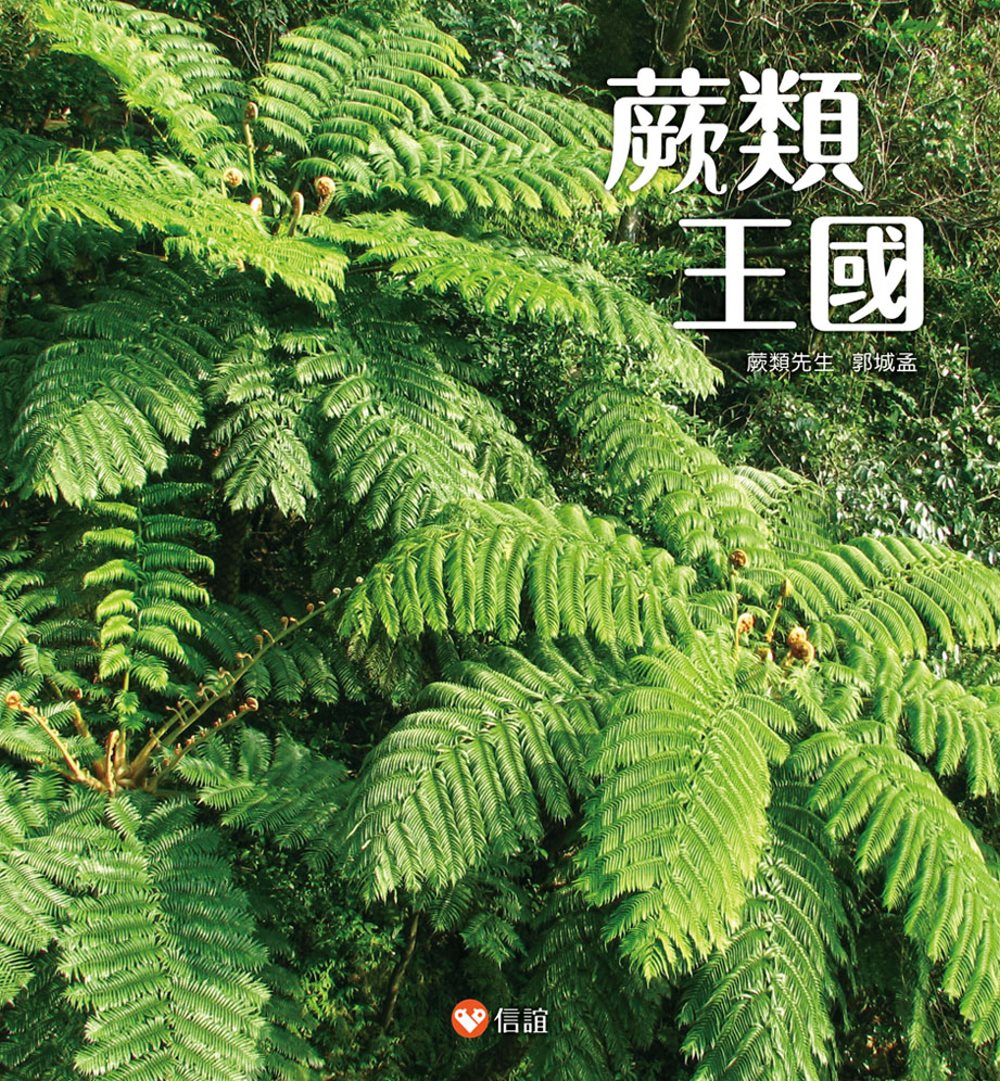 蕨類王國 圖片