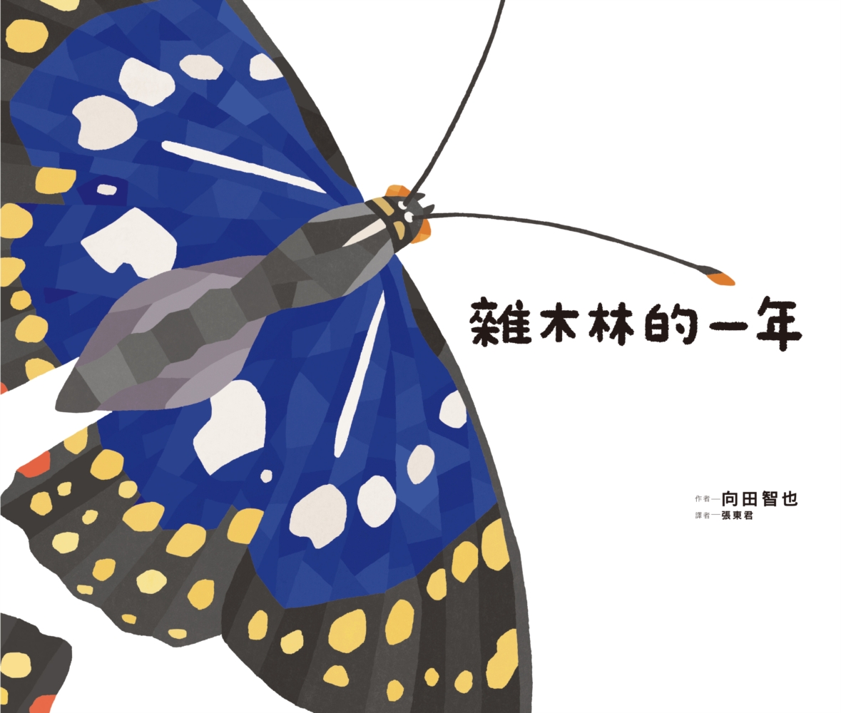 雜木林的一年 圖片
