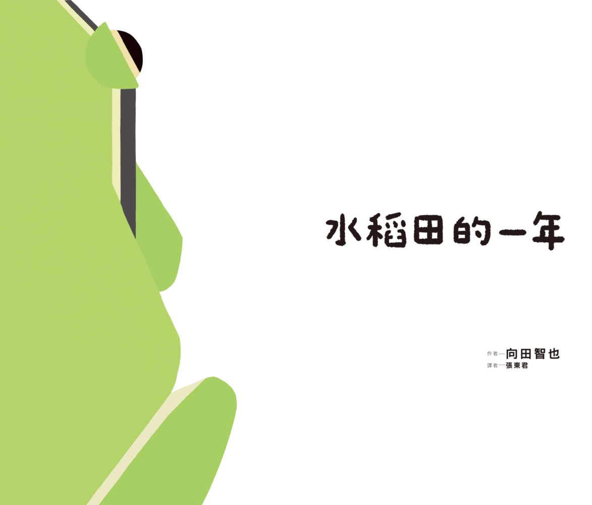 水稻田的一年 圖片