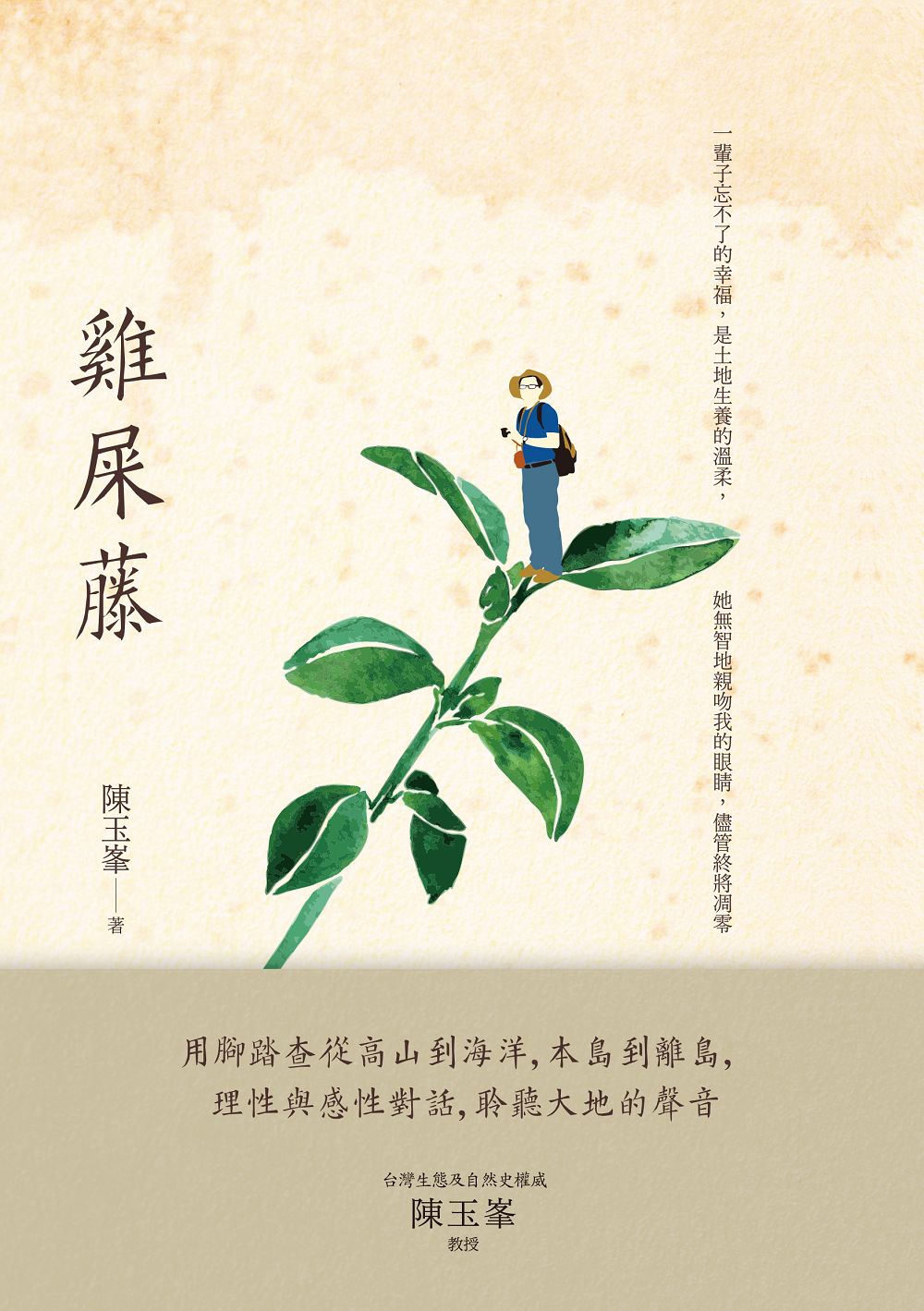 雞屎藤 圖片
