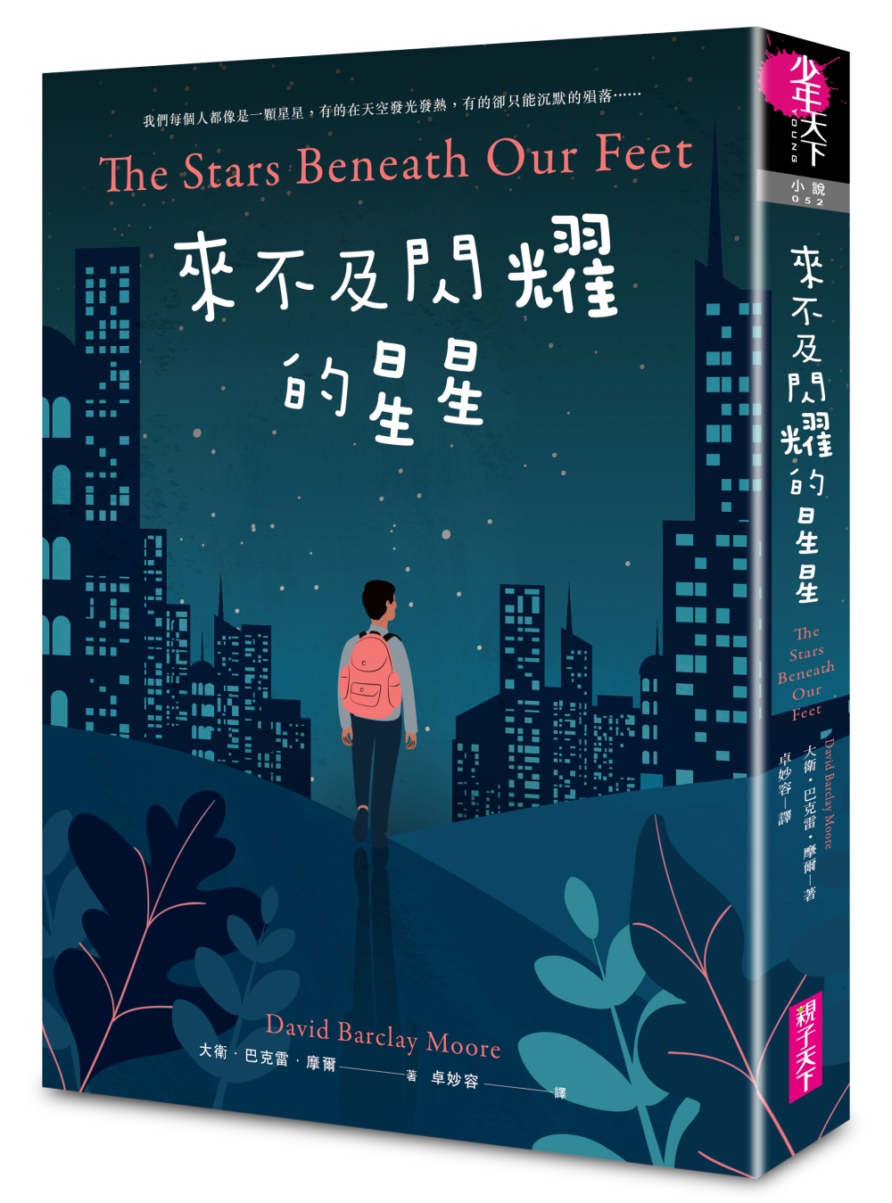 來不及閃耀的星星 圖片