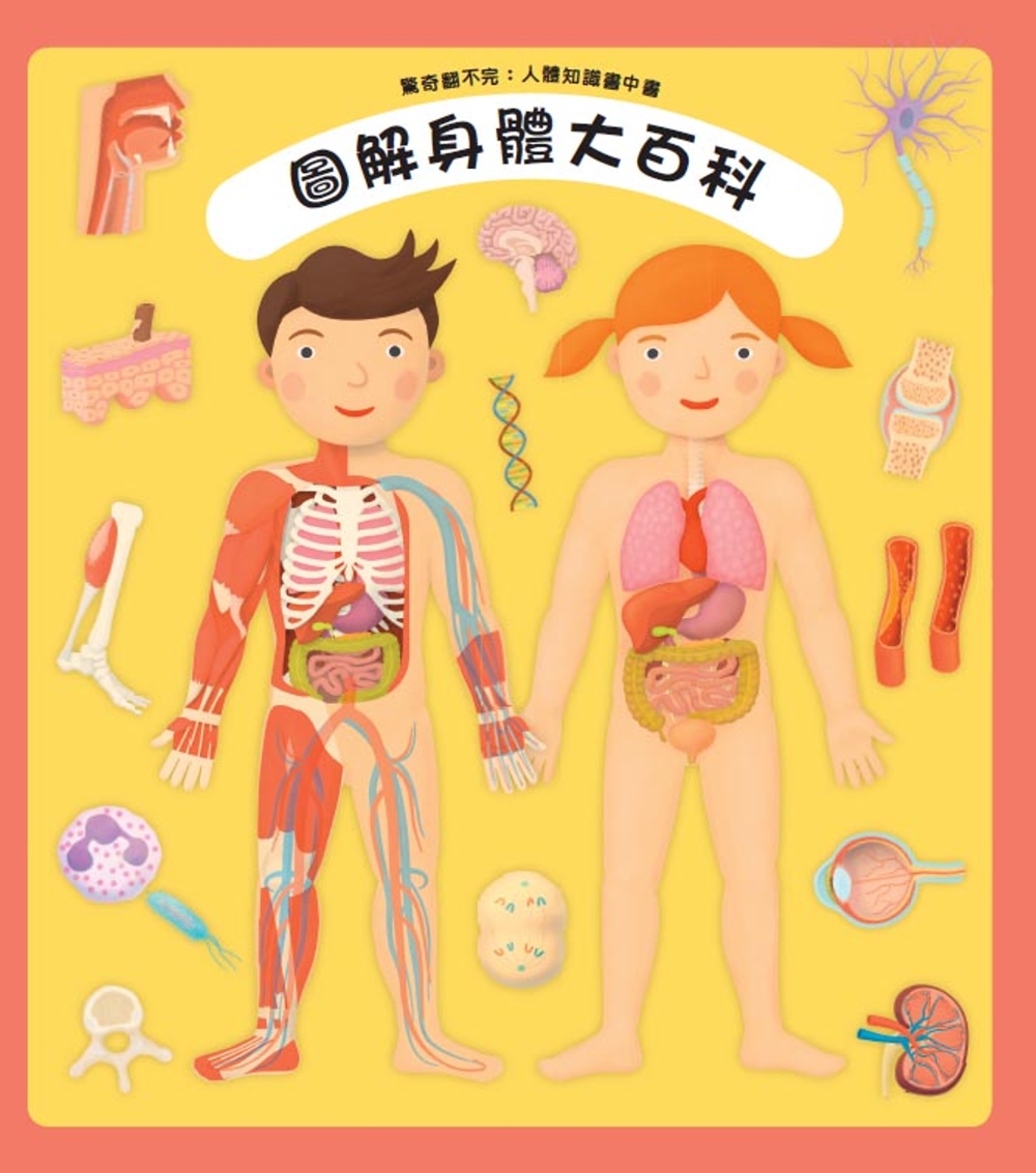 驚奇翻不完：人體知識書中書-圖解身體大百科 圖片