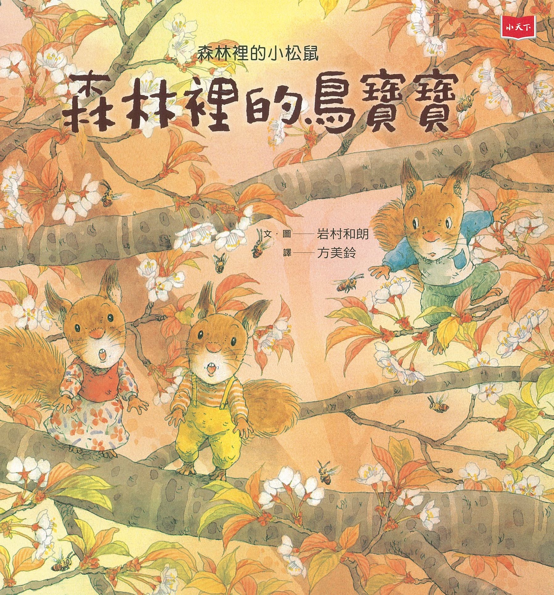 森林裡的小松鼠：森林裡的鳥寶寶 圖片