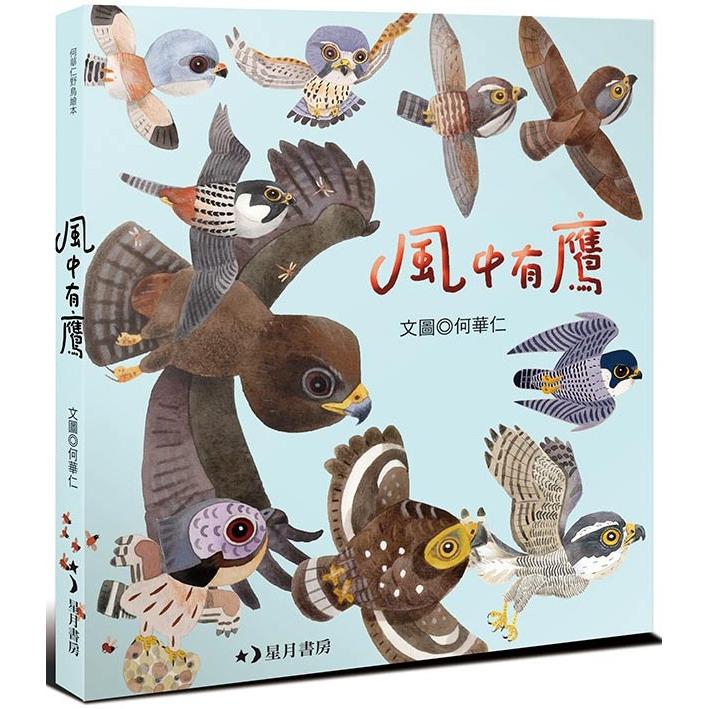 風中有鷹 圖片