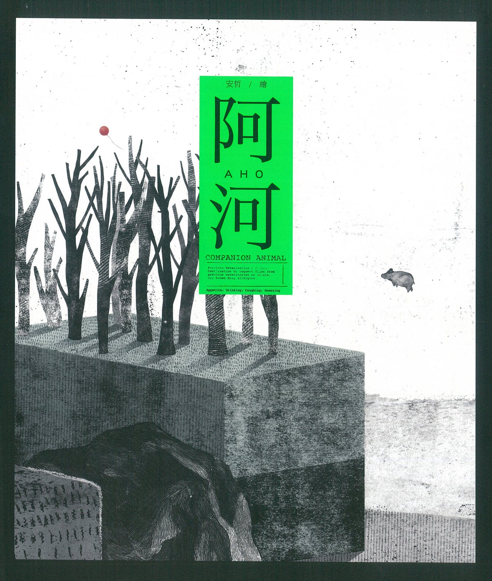 阿河 圖片