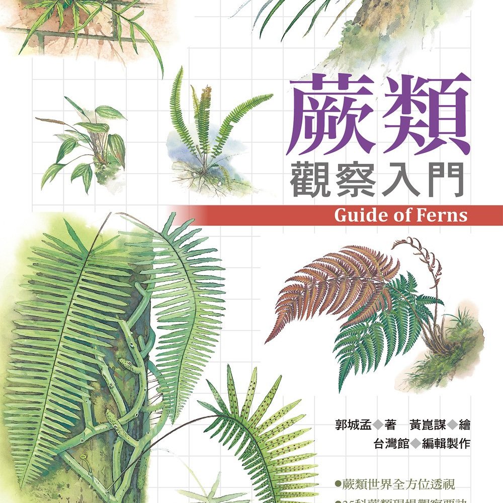 蕨類觀察入門 圖片