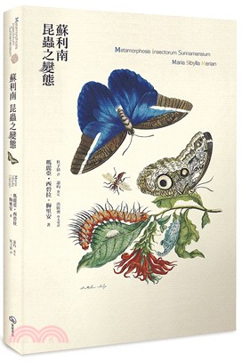 蘇利南昆蟲之變態 圖片