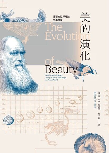 美的演化：達爾文性擇理論的再發現 圖片
