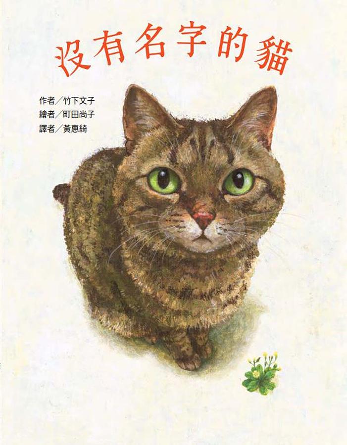 沒有名字的貓 圖片