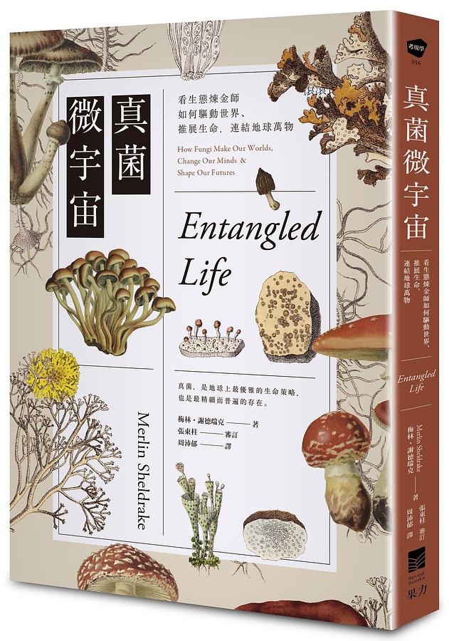 真菌微宇宙：看生態煉金師如何驅動世界、推展生命，連結地球萬物 圖片