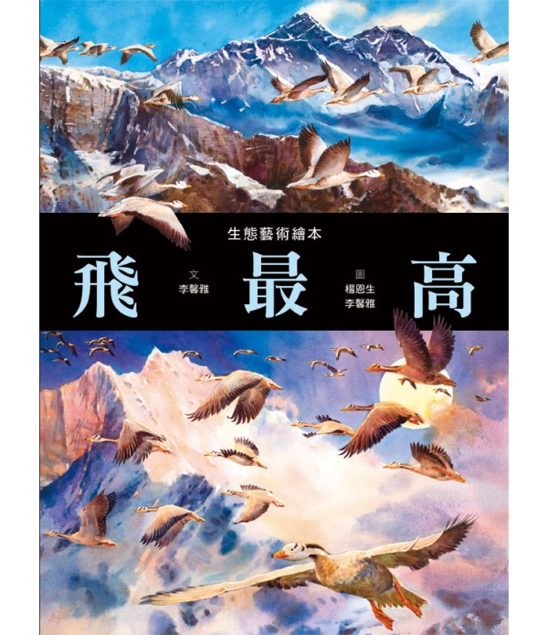 飛最高：高原精靈斑頭雁的遷徙 圖片