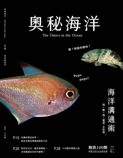 《奧秘海洋》第109期至第112期－4期4冊 圖片