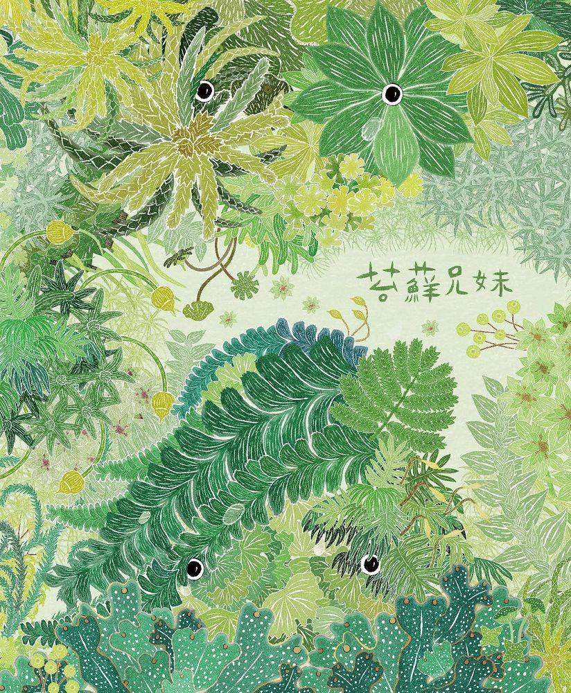 苔蘚兄妹 圖片