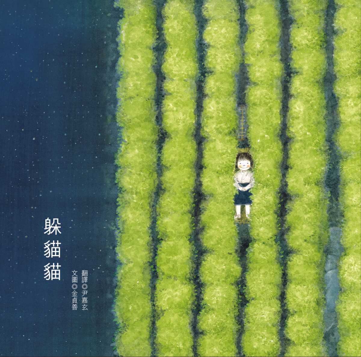 躲貓貓 圖片