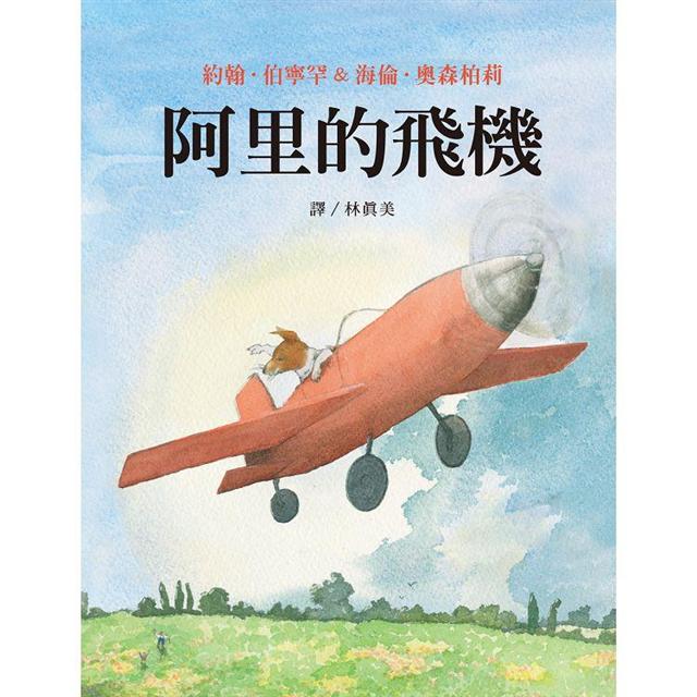 阿里的飛機 圖片
