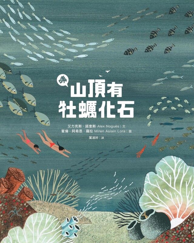 咦，山頂有牡蠣化石 圖片