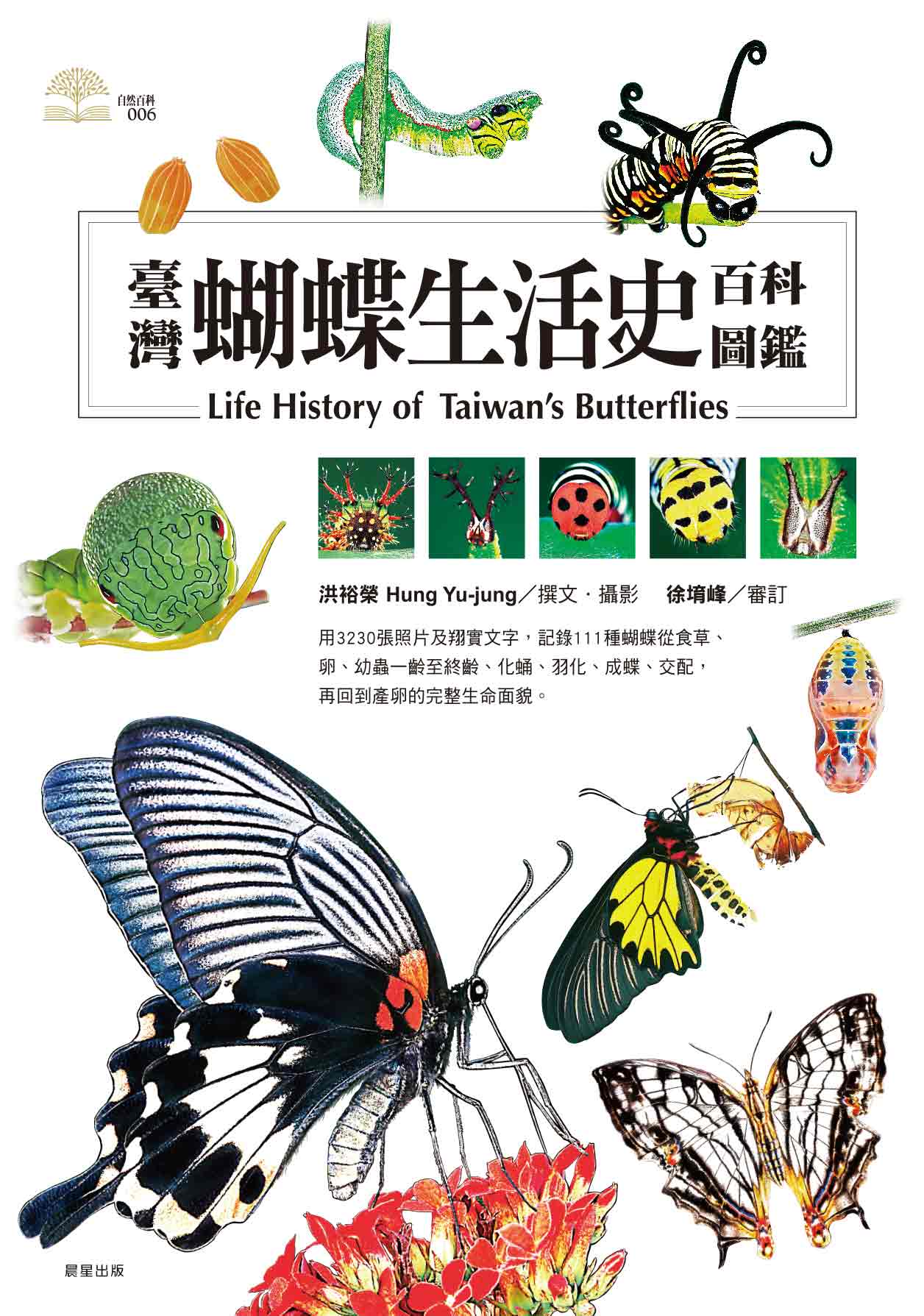 臺灣蝴蝶生活史百科圖鑑 圖片