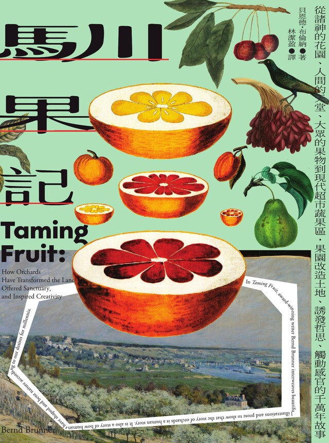 馴果記 圖片