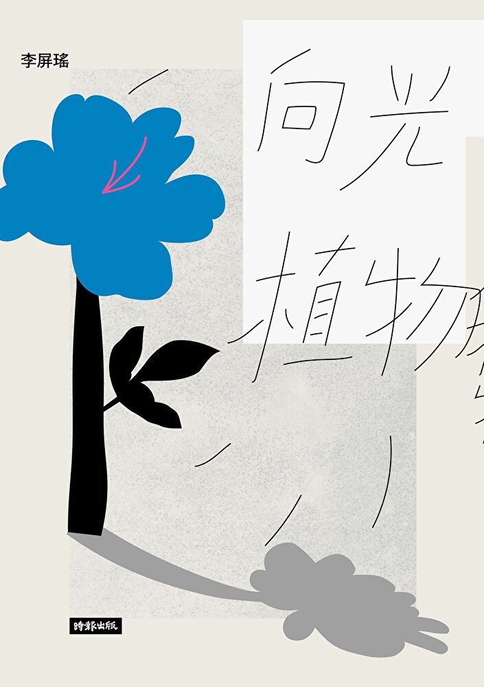向光植物 圖片