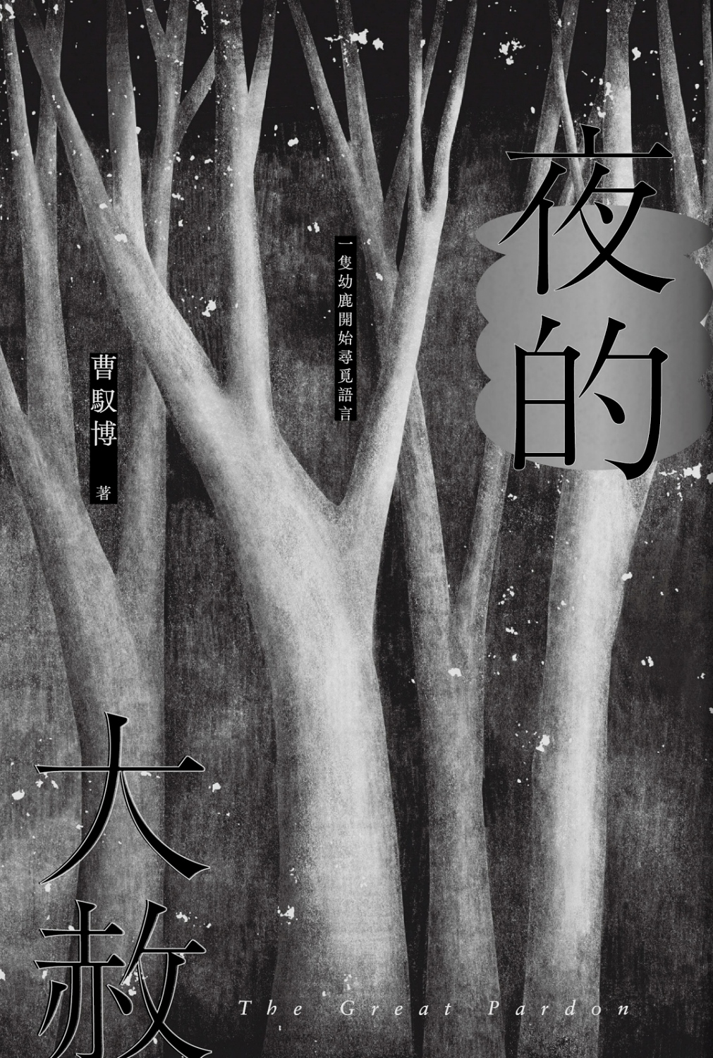 夜的大赦 圖片
