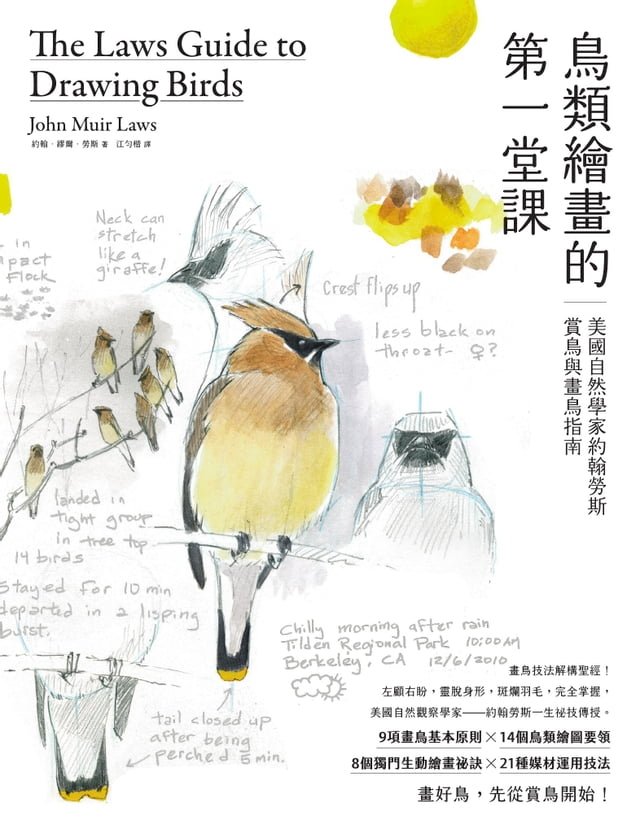 鳥類繪畫的第一堂課：美國自然學家約翰勞斯賞鳥與畫鳥指南 圖片