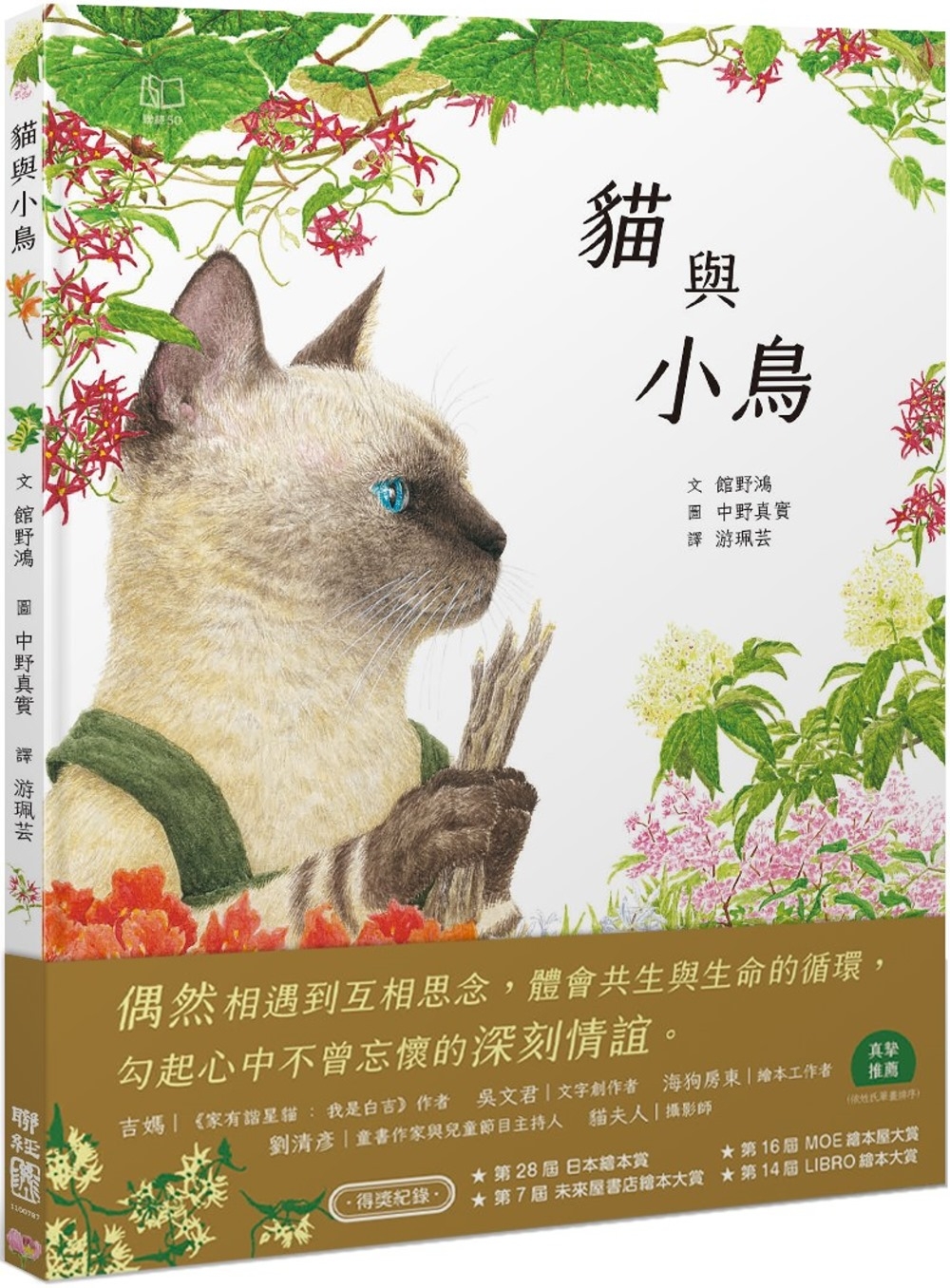 貓與小鳥 圖片