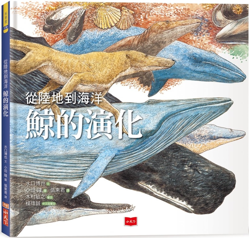 從陸地到海洋 鯨的演化 圖片