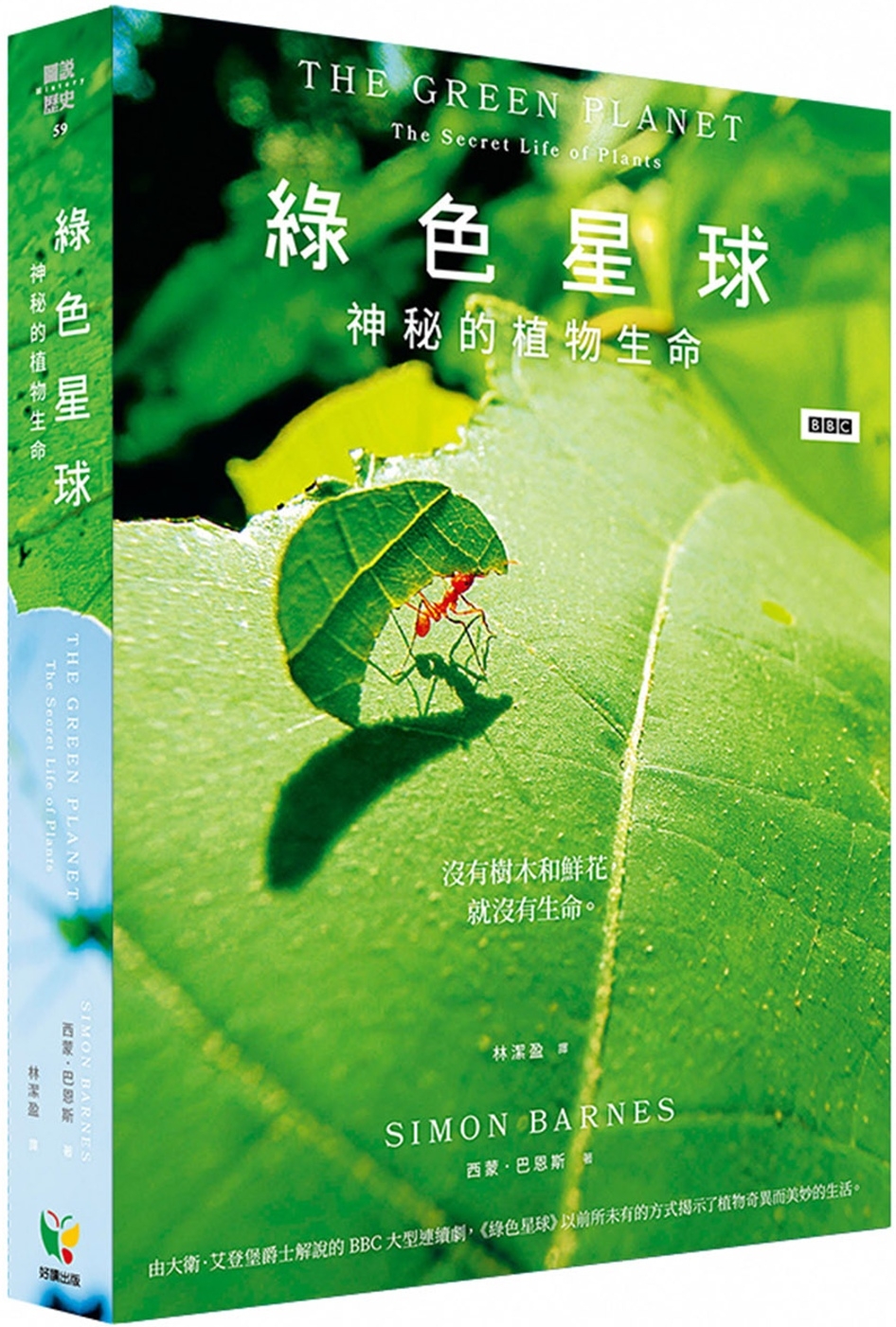綠色星球：神秘的植物生命 圖片