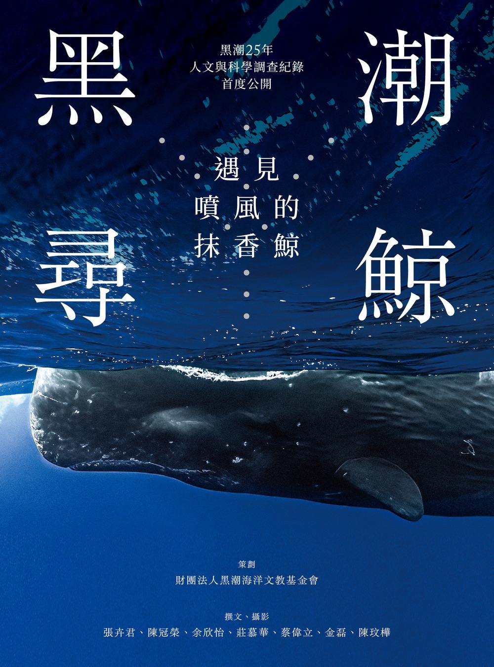 黑潮尋鯨：遇見噴風的抹香鯨，黑潮25年人文與科學調查紀錄首度公開 圖片