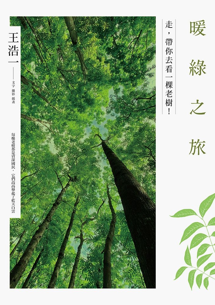 暖綠之旅：走，帶你去看一棵老樹 圖片