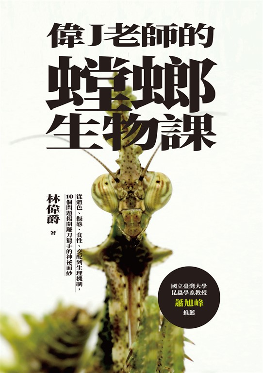 偉J老師的螳螂生物課：從體色、擬態、食性、交配到生理機制，10個問題揭開鐮刀獵手的神祕面紗 圖片
