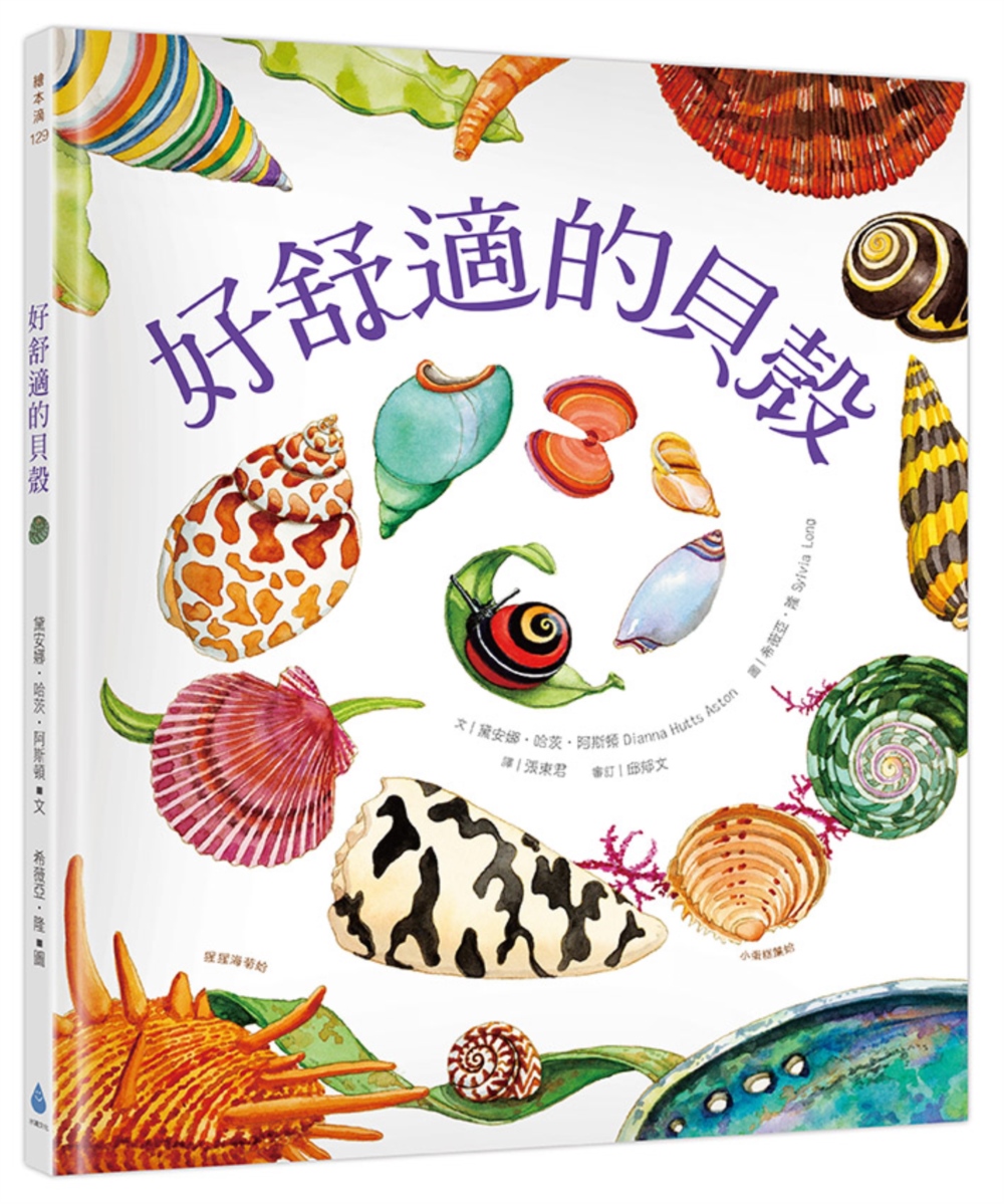 好舒適的貝殼 圖片