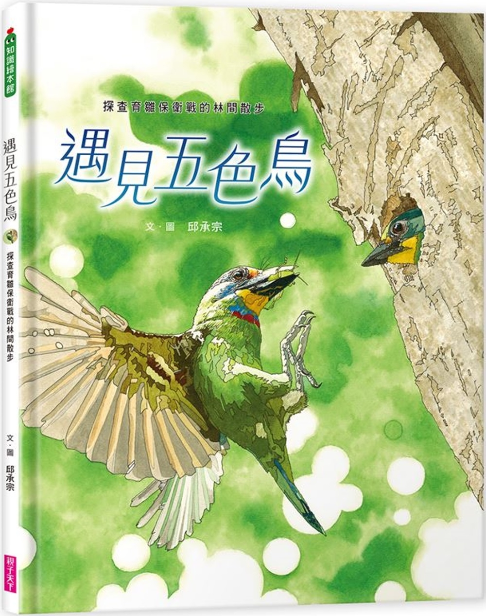 遇見五色鳥：探查育雛保衛戰的林間散步 圖片