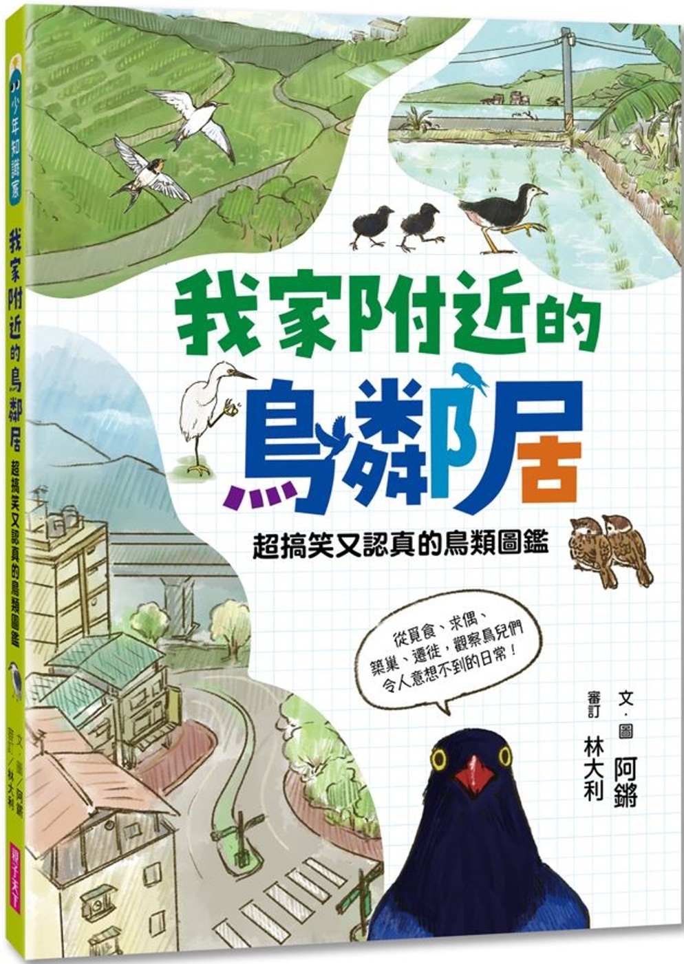 我家附近的鳥鄰居：超搞笑又認真的鳥類圖鑑，觀察鳥兒們令人意想不到的日常 圖片