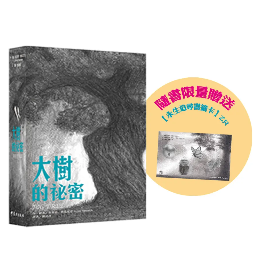 大樹的祕密 圖片