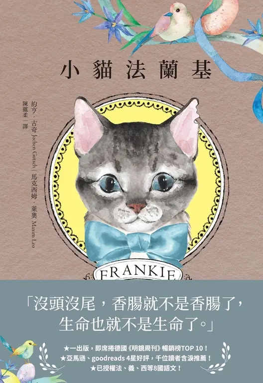 小貓法蘭基 圖片