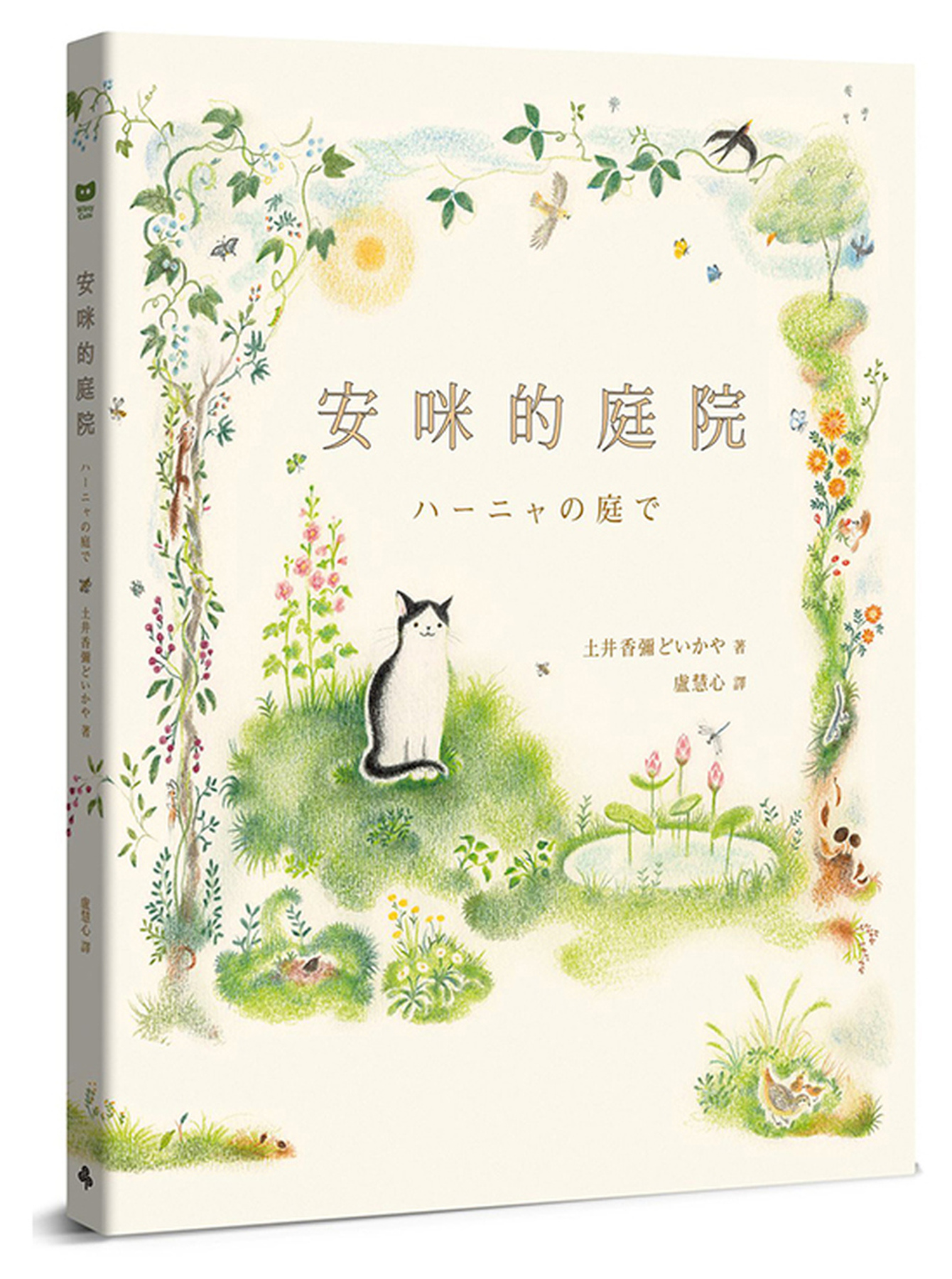 安咪的庭院 圖片