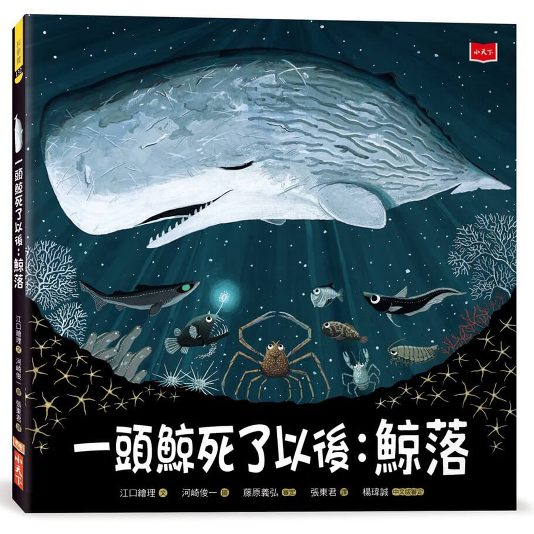 一頭鯨死了以後：鯨落 圖片