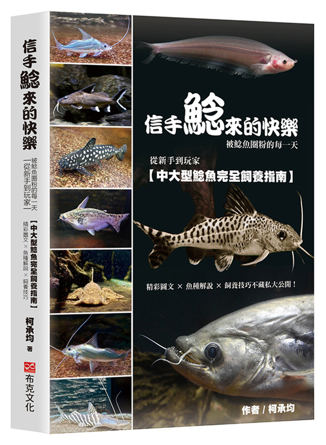 信手鯰來的快樂：被鯰魚圈粉的每一天。從新手到玩家，中大型鯰魚完全飼養指南。精彩圖文×魚種解說×飼養技巧不藏私大公開！ 圖片