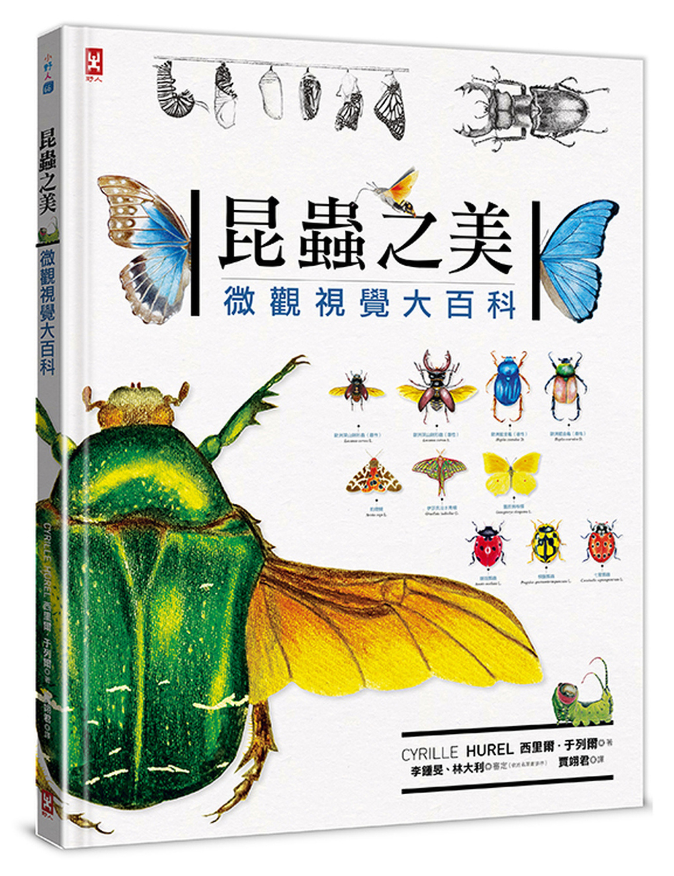 昆蟲之美：微觀視覺大百科 圖片