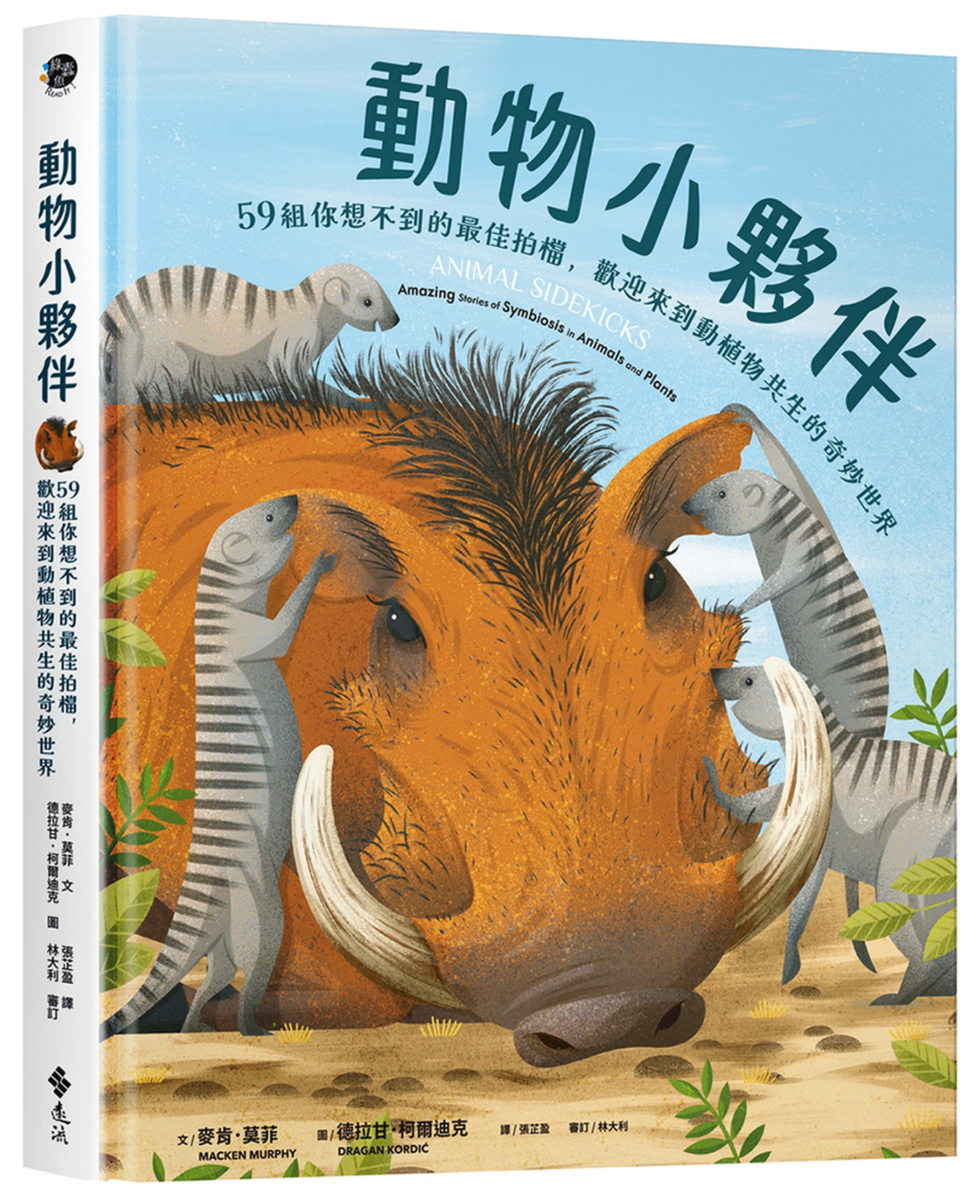 動物小夥伴：59 組你想不到的最佳拍檔，歡迎來到動植物共生的奇妙世界 圖片
