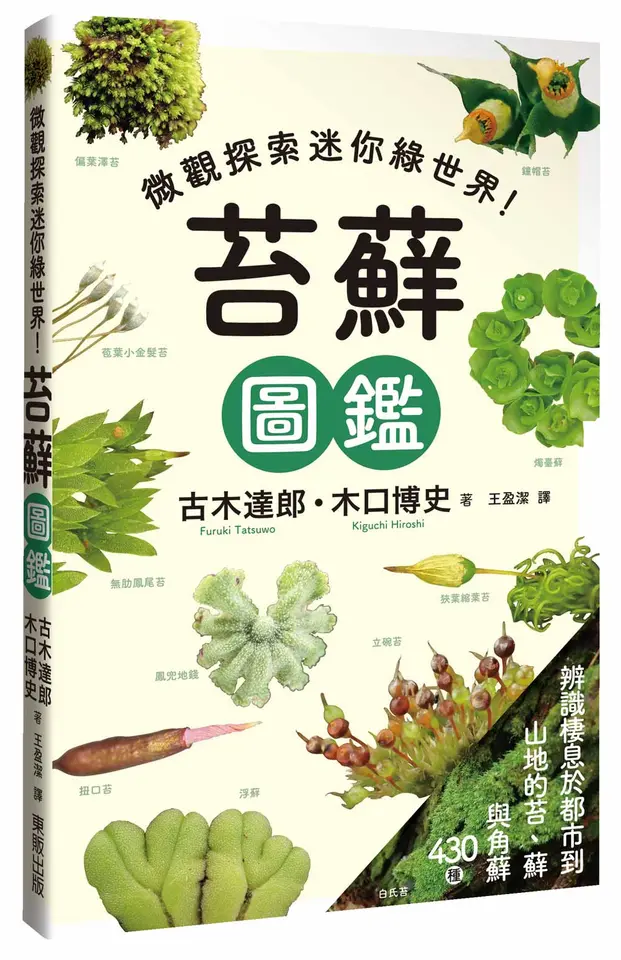 苔蘚圖鑑 圖片