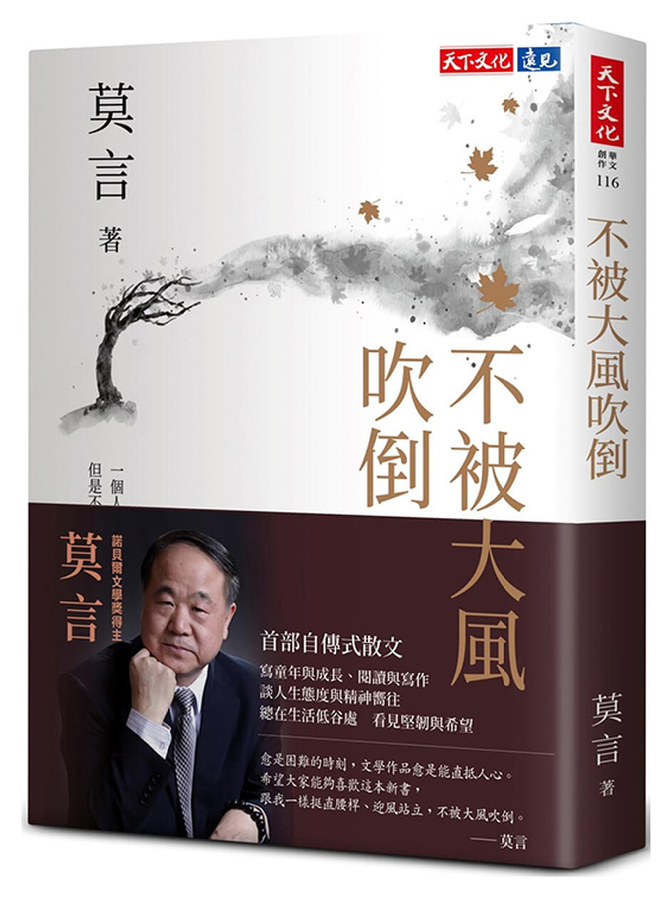 不被大風吹倒 圖片