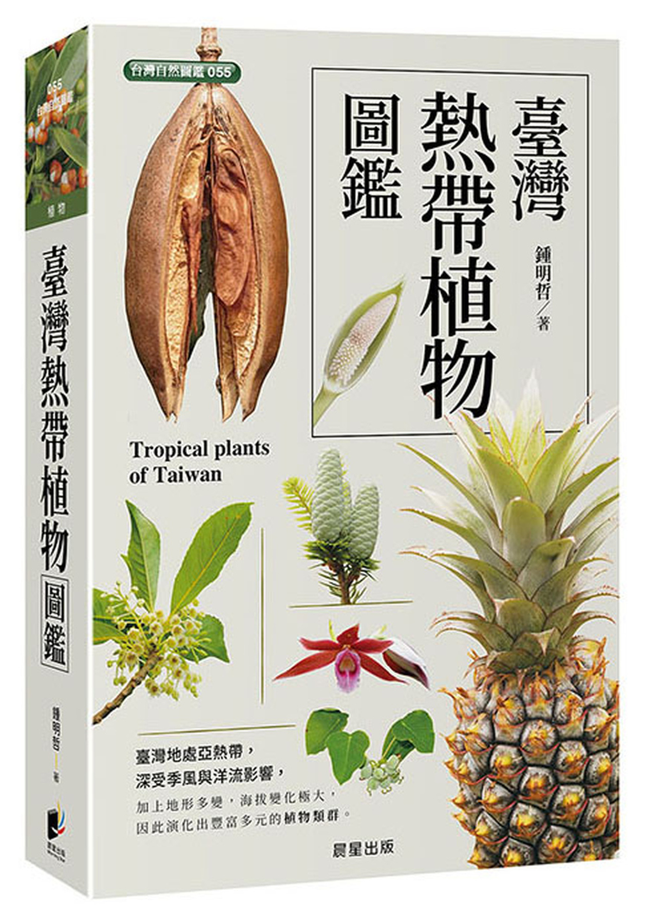 臺灣熱帶植物圖鑑 圖片
